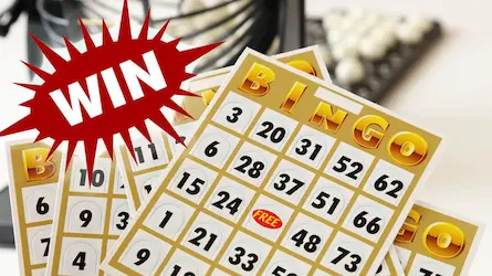 How To Play And Win Bingo At A Casino In 2022?